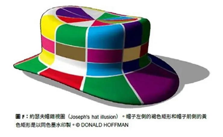 圖片引自本書《不實在的現實》中間部分彩頁