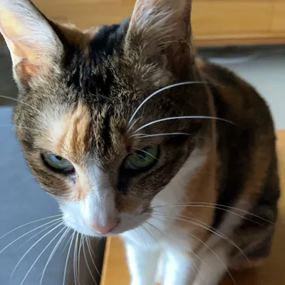 Fisher 文組大叔 的沙龍