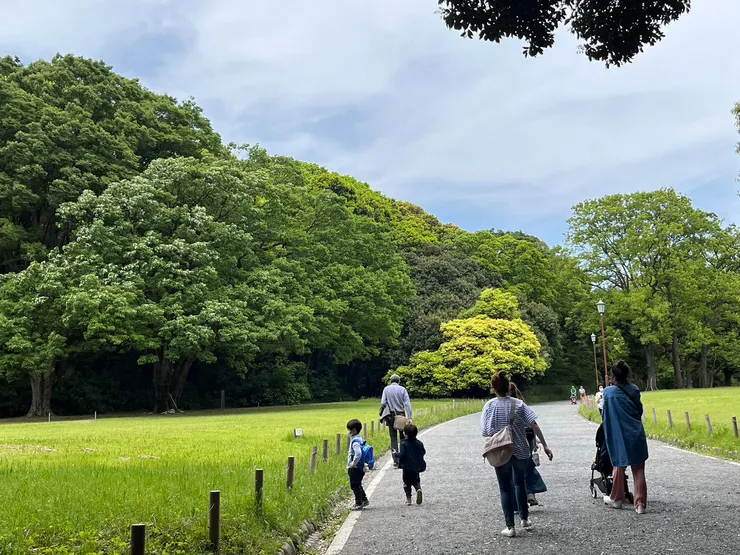 有小森林的綠地沒有高樓建築物的天空，漫步在代代木公園是浪漫的