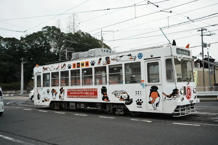 好可愛的貓貓塗裝！上面寫的TAMA，應該是小玉的意思