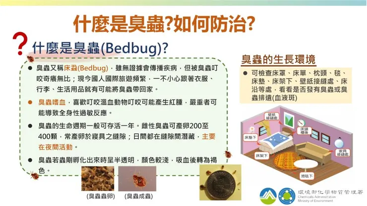 什麼是臭蟲+如何防治