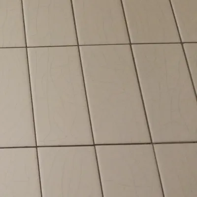 世人笑我太瘋癲的沙龍