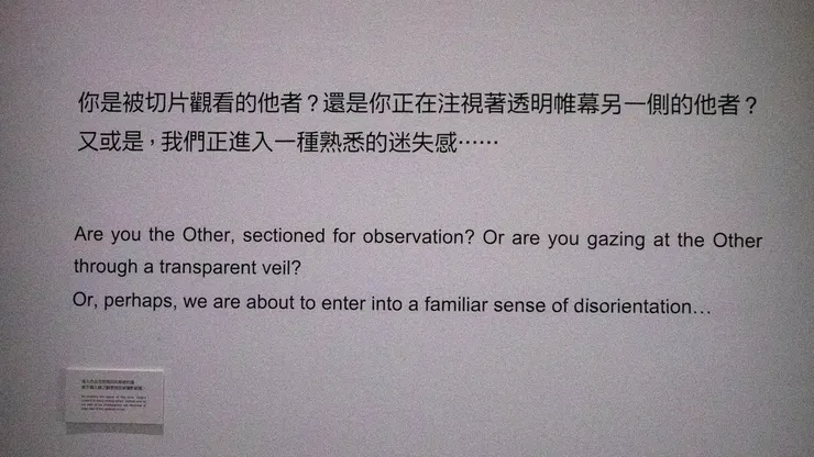 侯怡婷《Kill 8 Seconds》展版說明觀看和迷失