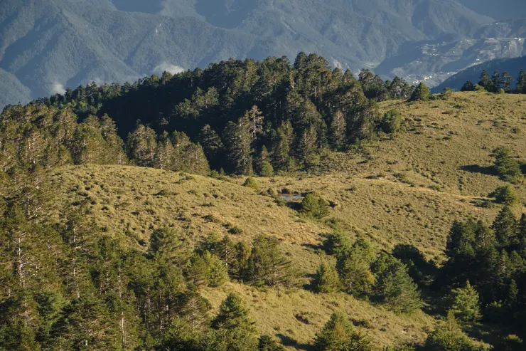 往北方眺望約200-300m還有一池看天池{24.179473,121.260123}，看起來不難走，以後有機會來切切看，雖然要有鹿角的機會應該不高