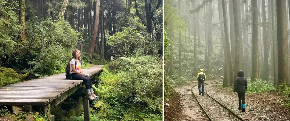 跟著Linko走走拍拍