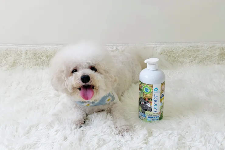 圖說：響應世界地球日，MIT台灣研發製造的臭味滾推出ECOCERT認證「植安心洗衣精」，主打98.9%天然來源，讓日常洗衣成為環保綠色行動。（資料來源：臭味滾）