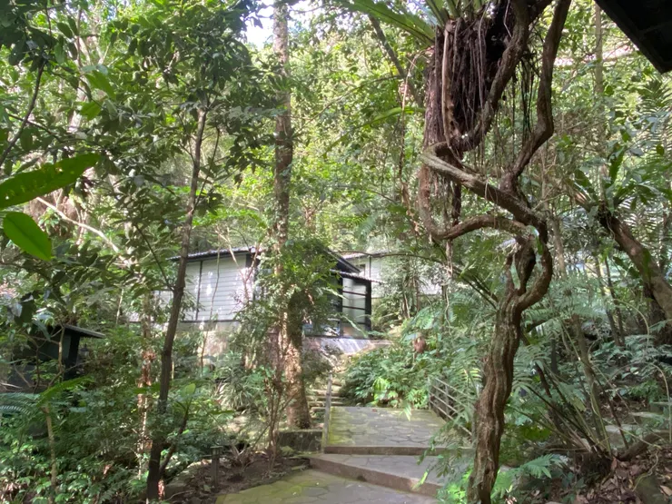 涼亭看出去的景致，感受融入森林的感覺