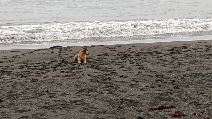 金樽/台東/Steven攝