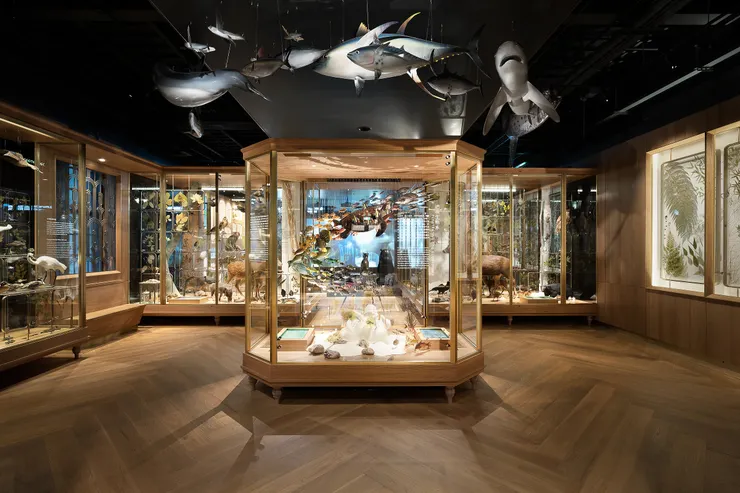 國立臺灣博物館提供