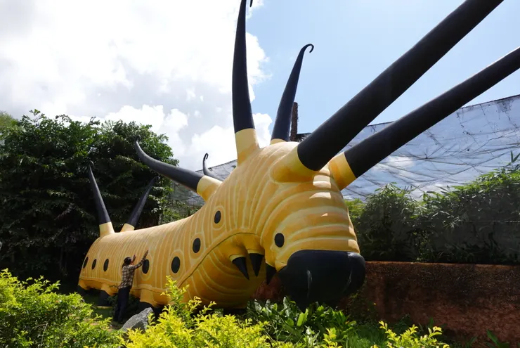 很吸睛的殺馬特毛毛蟲