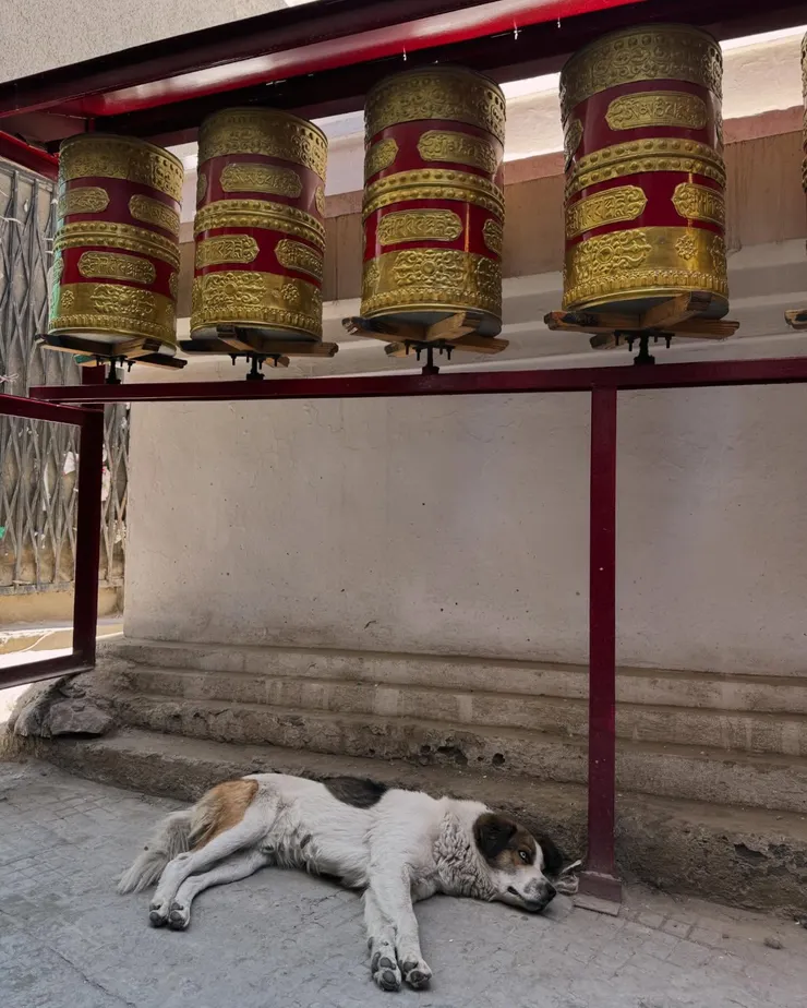 在市場裡的經綸筒