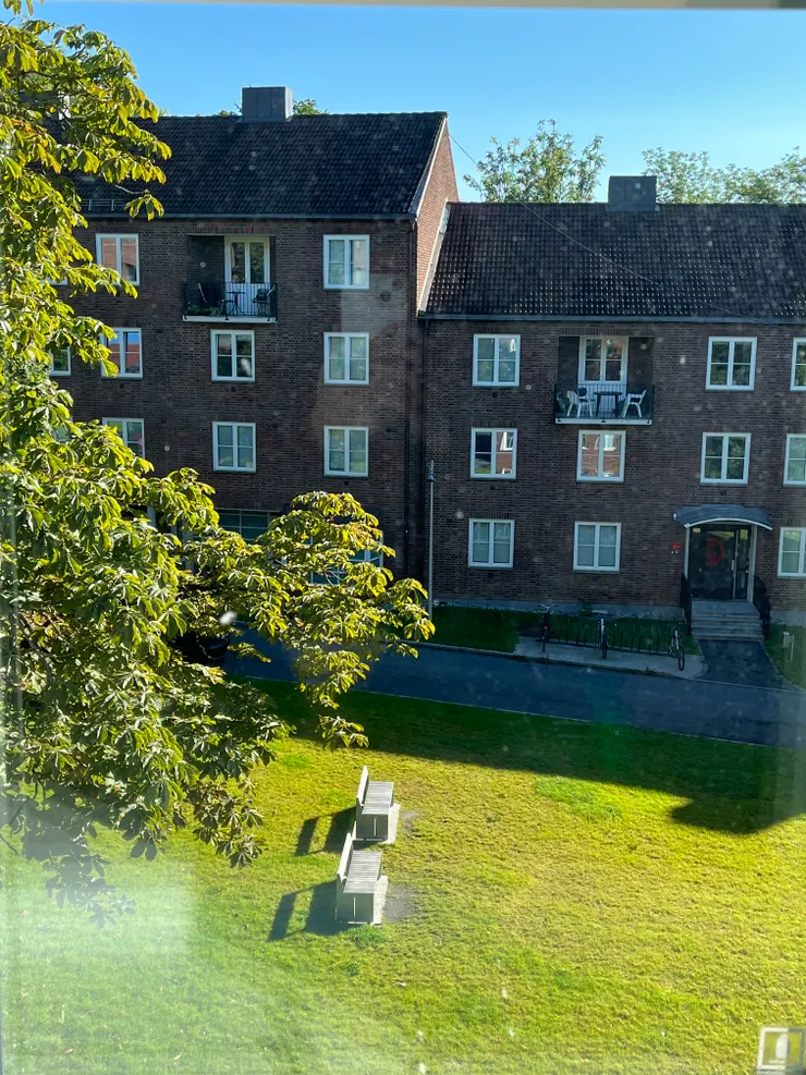 挪威夏末，宿舍樓梯望出去的金黃草皮。