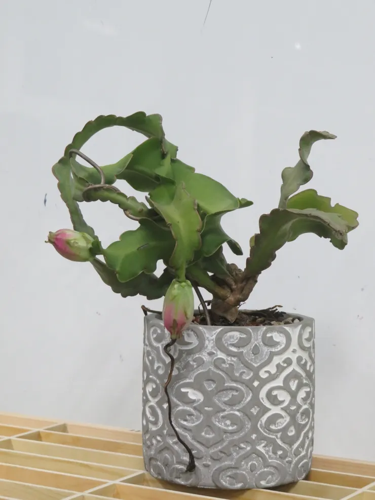 內湖社大110.09.14