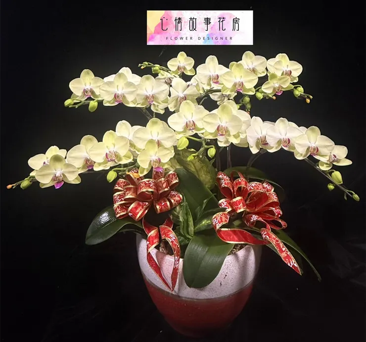 台南最大送禮花店|公家單位、銀行、各大機關都愛用的心情故事花房