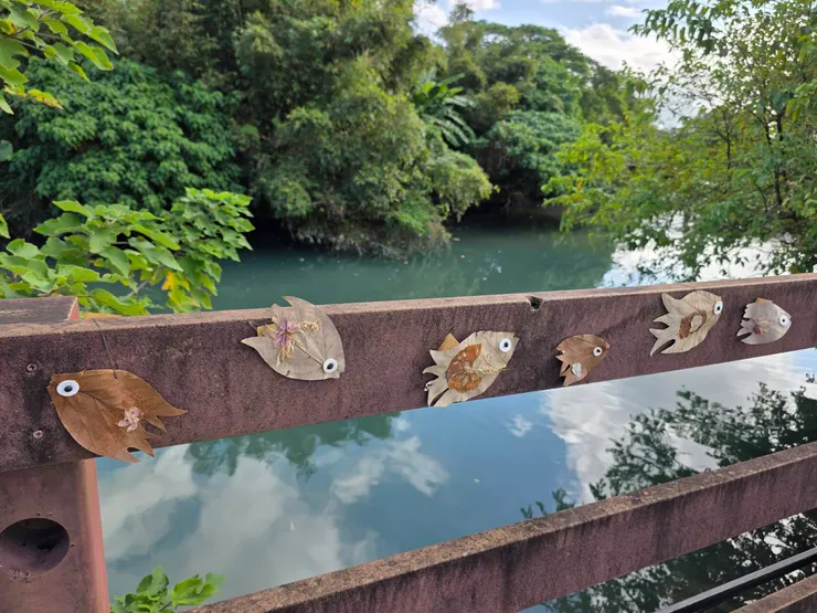 這是我最喜歡的作品,可愛又富有童趣,讓人帶著讓魚兒回家的期盼。