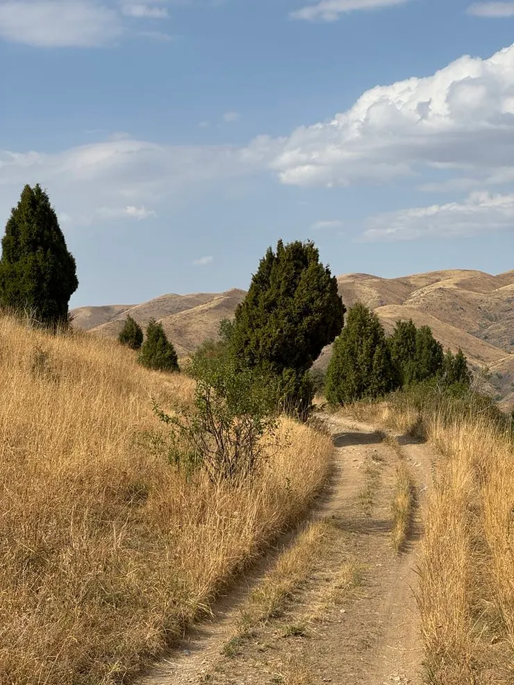 阿克蘇國家公園風景一隅