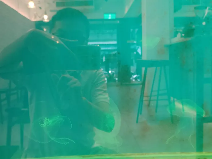 水母(拍得不好請見諒)