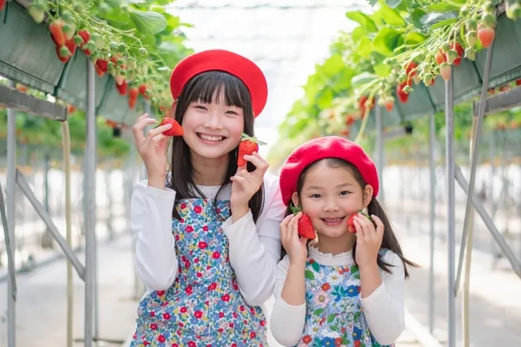 妹妹 (圖片來自Photo-ac)