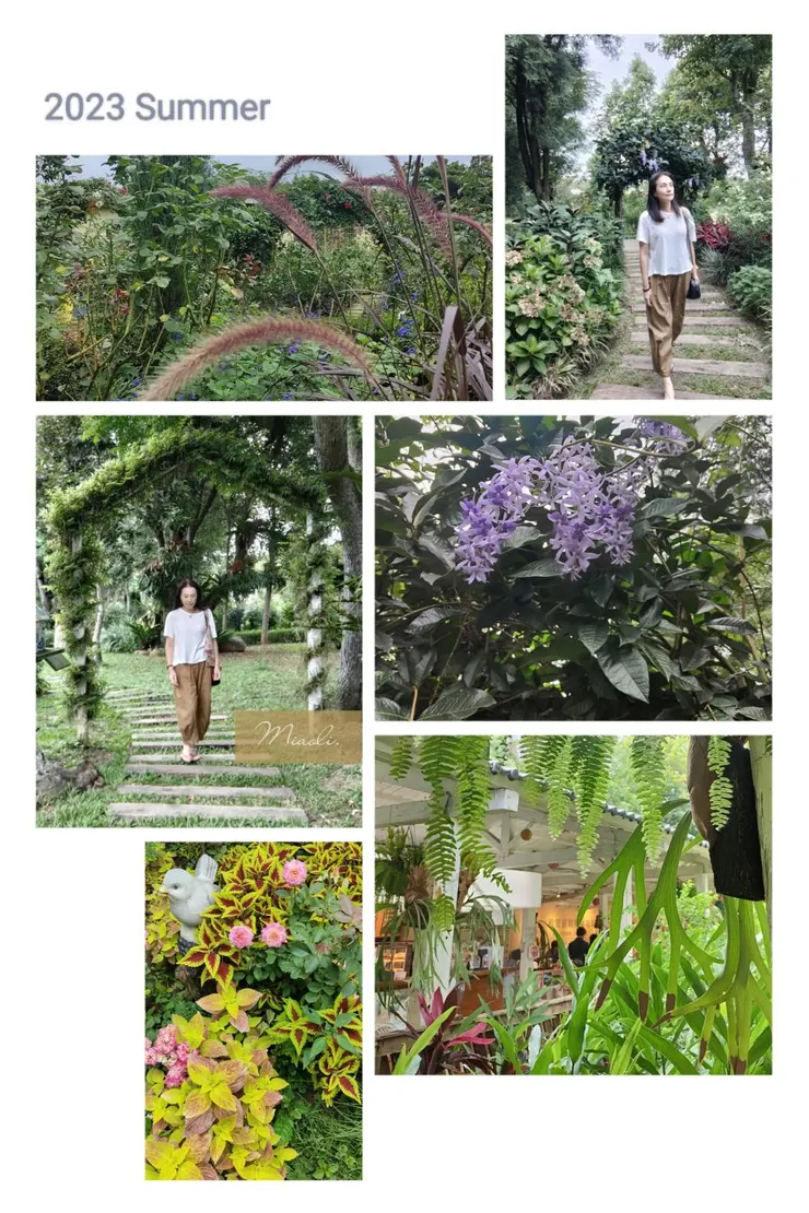 2023年夏天到訪的香草植物工廠