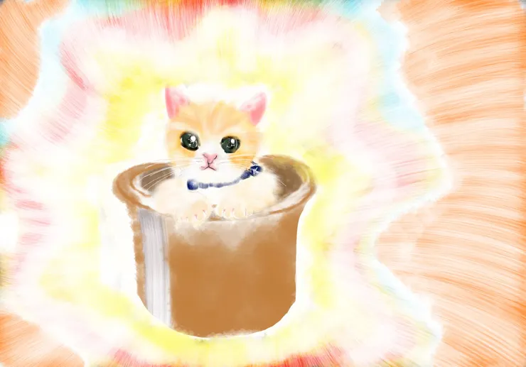 這個也是小貓咪圖片