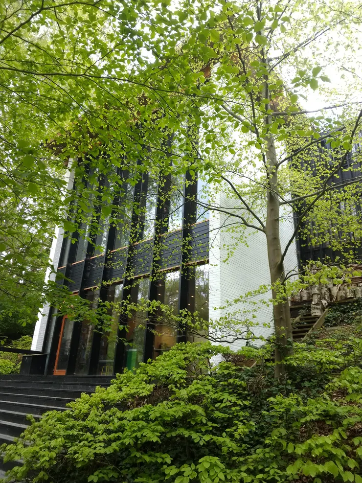 這個角度更為明顯