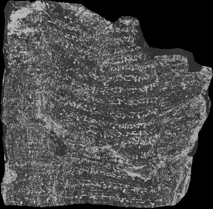 圖片來源：Vesuvius Challenge