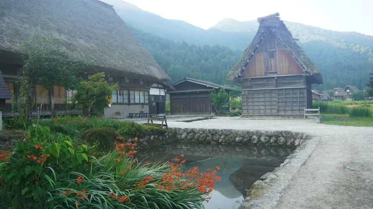 晚餐的炸魚可能來自這個小池