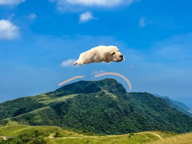 灣坑頭山又叫拉不拉多山，因為它的山體長得像拉不拉多，所以有山友叫它拉不拉多山，特地合成一下，真的蠻像的！！🤣