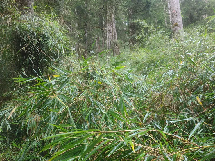 又開始密起來了，硬幹