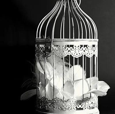 lith的渡劫修練之路