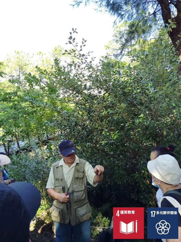 馬老師親自示範如何修剪苗木，背景植物即為現已高過人高的台灣胡頹子