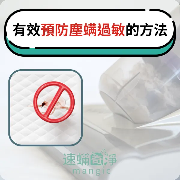 塵螨過敏.除塵螨.除塵螨推薦.除螨推薦