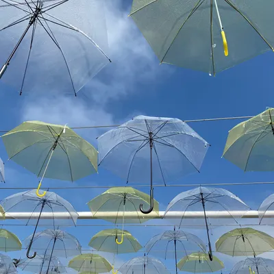 小蛋糕的小房間