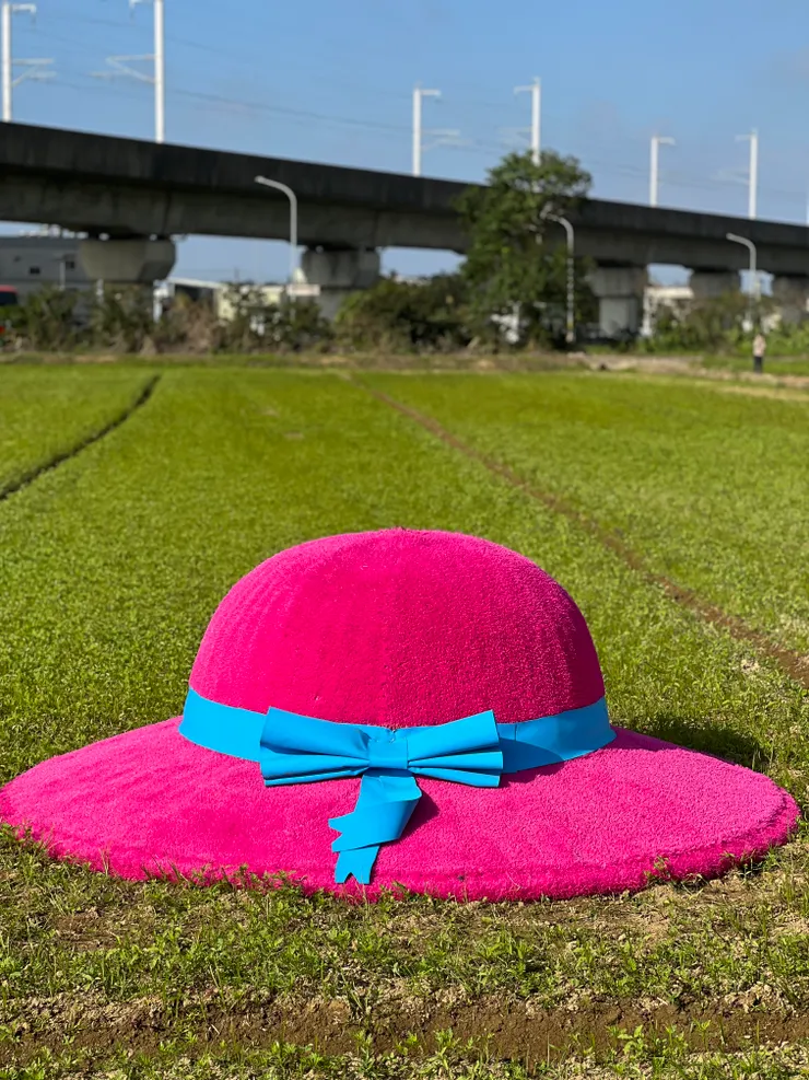 這是霍爾移動城堡..蘇菲的帽子嗎？