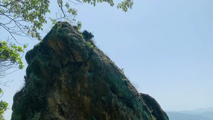 你覺得鶯歌石像什麼呢？