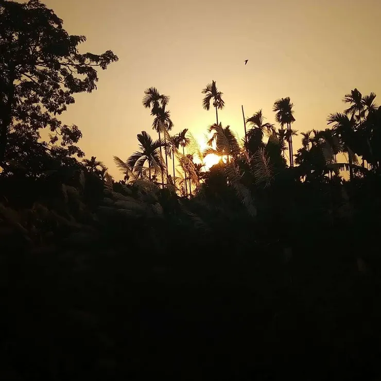 鄉間小路下拍的夕陽