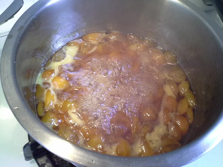 以煮果醬的照片代替/作者攝