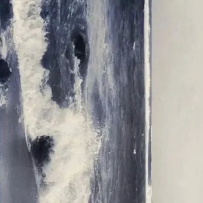 風裡的細沙的沙龍