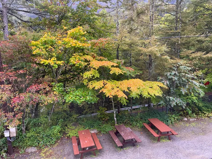 有明莊房間窗外風景