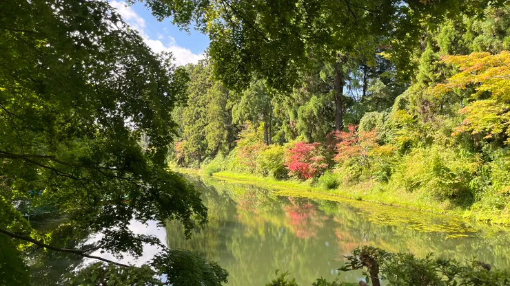 夏末秋初抵達,已經有些楓紅。