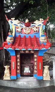 榕樹媽（圖片截圖於網路）