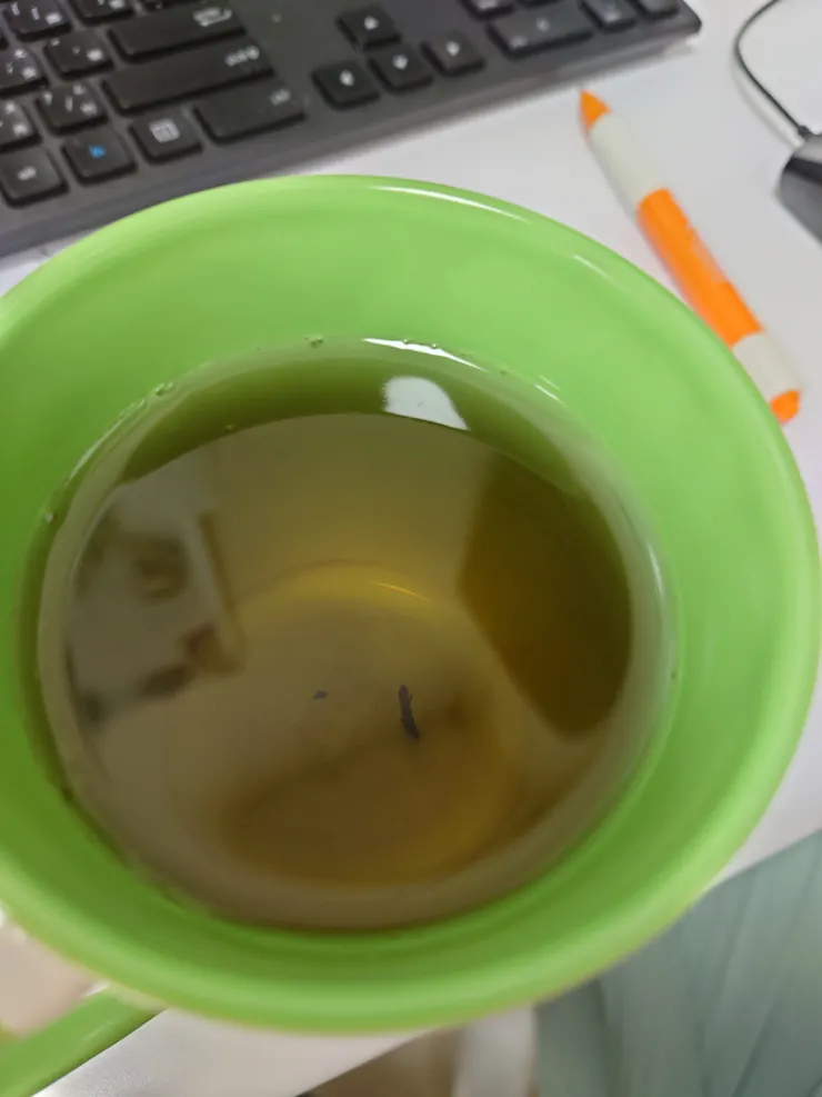 茶梗立起來了！聽說是一種好運？姑且當作小確幸吧！