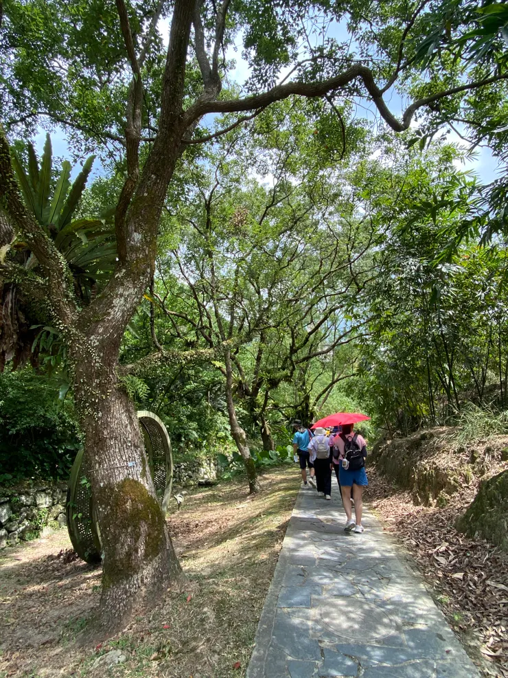 社區內擁有這樣的溪流散步道非常幸福