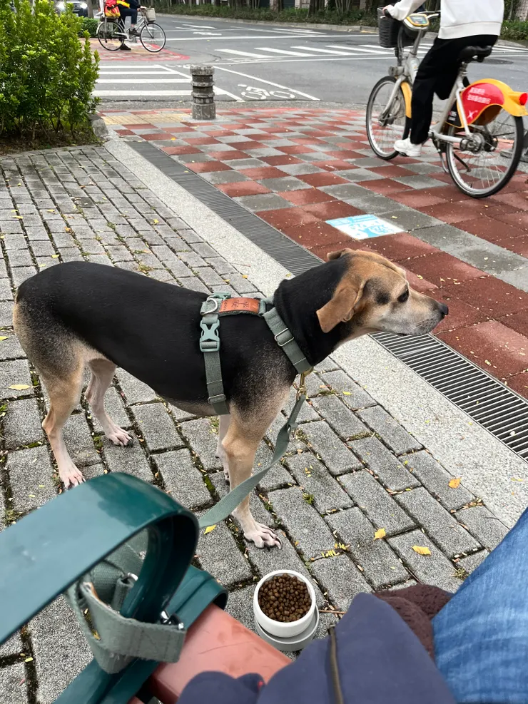 其實這裡路人很多,也離馬路算滿近的