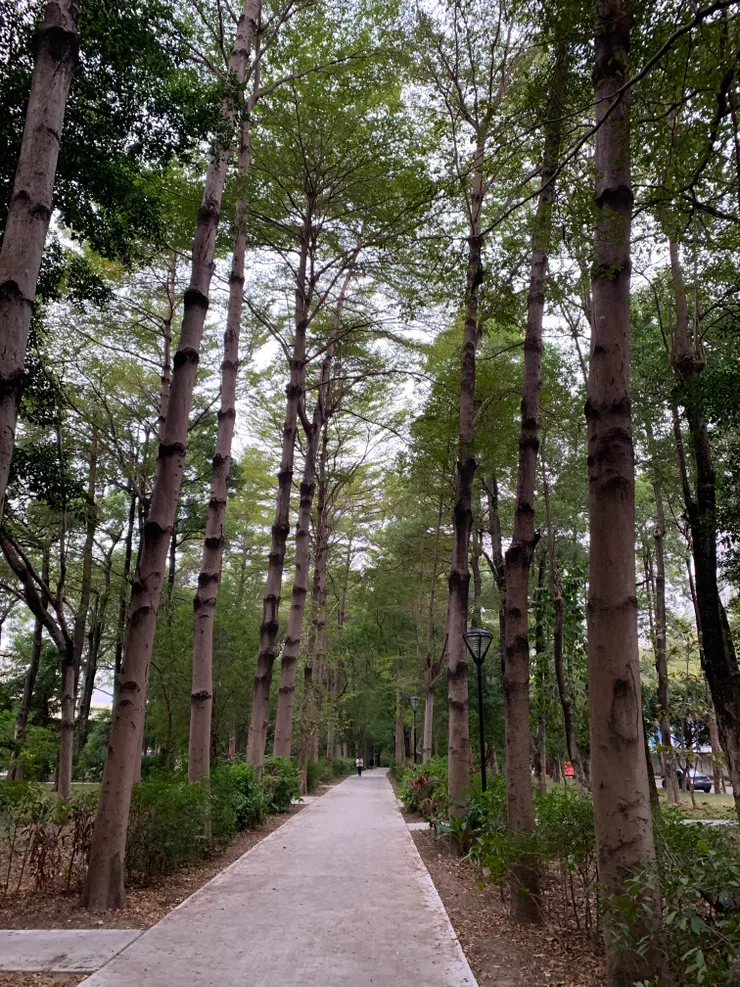 漂亮舒服的東光綠園道。