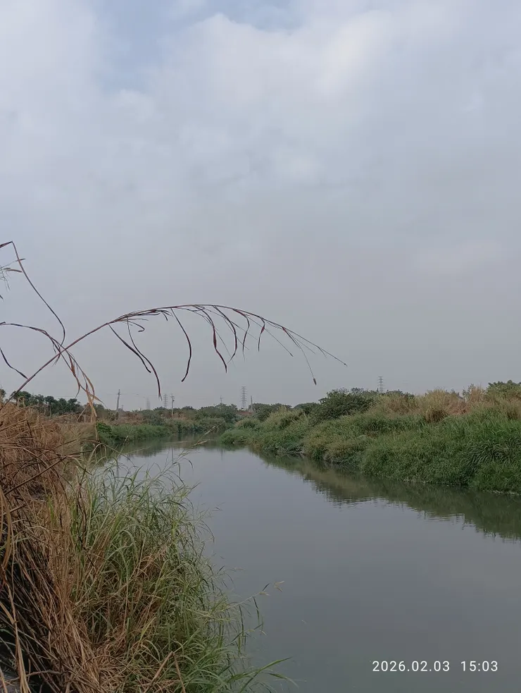 歡娛流水歌聲斷