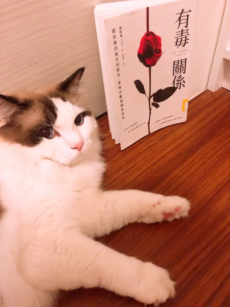 胖咪：希望大家都幸福開心