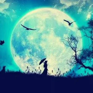 ░ 波卡Poka ░的沙龍