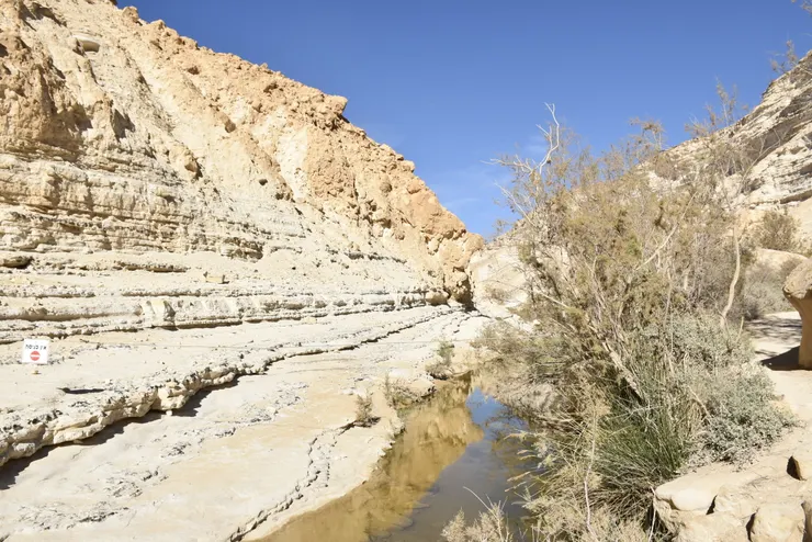 20170317在以色列ARAD曠野(李建崑攝影)