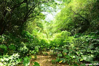 難得的開闊地(往基隆方向拍攝)